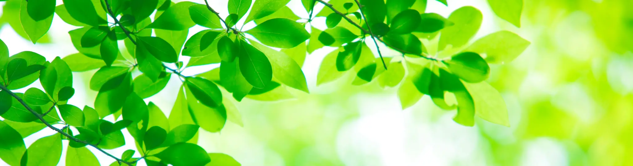 メディカルフィットネス